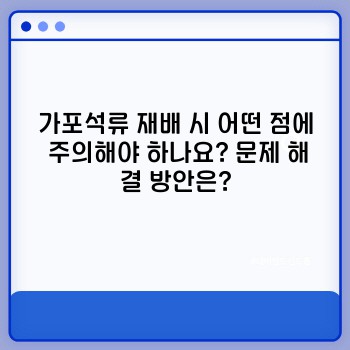 0664ac730deff791ec62ae569af4c30e.jpg