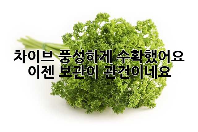 267a5954c9ba65bd840334bcaa931bbe.jpg