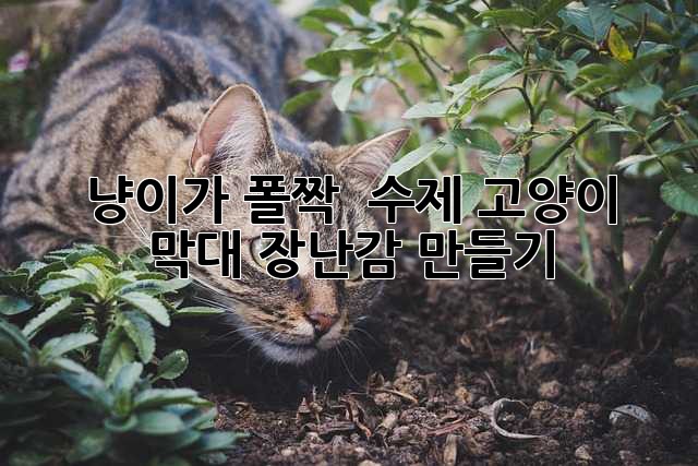 64a37070e04fd3d3eccaaf52f013f64e.jpg