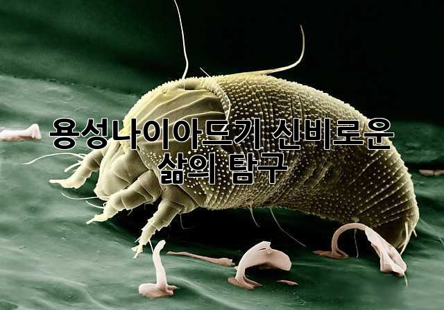7ab59fe7403baecba5e95f14d32b52c7.jpg