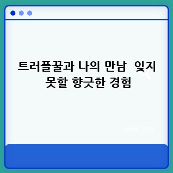 8896afe63e4b4db7a0d4abd63e8acd11.jpg