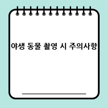 9c8ca35826f32a24db766ed854f98779.jpg