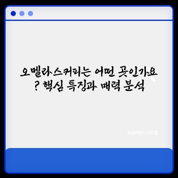 e3d5da2c0949c2270a3cdac7318c288a.jpg
