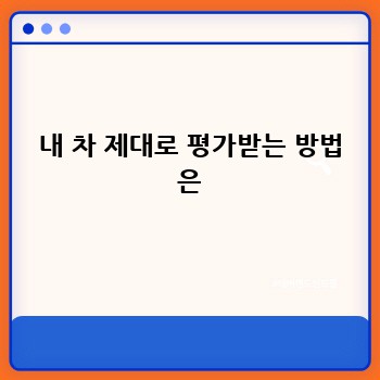 fadc7d25263fdda2ca4037ceb9e78bf1.jpg