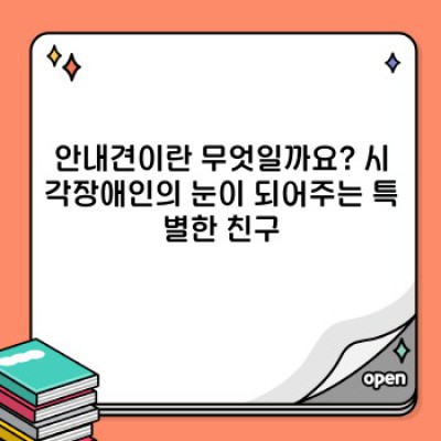 안내견 완벽 가이드: 훈련, 역할, 그리고 궁금증 해결! 안내견 요약정보 빠르게 보기