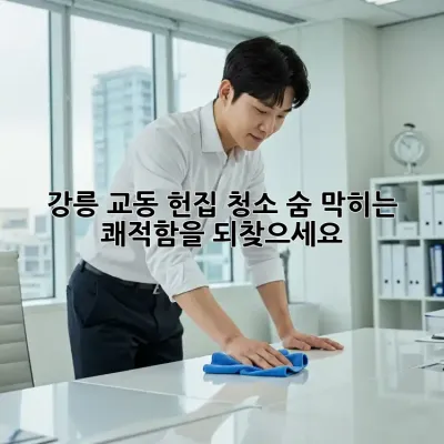 강릉 교동 헌집 청소: 숨 막히는 쾌적함을 되찾으세요!
