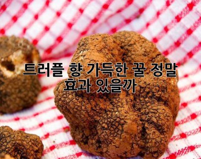 트러플 향 가득한 꿀, 정말 효과 있을까? 🤔
