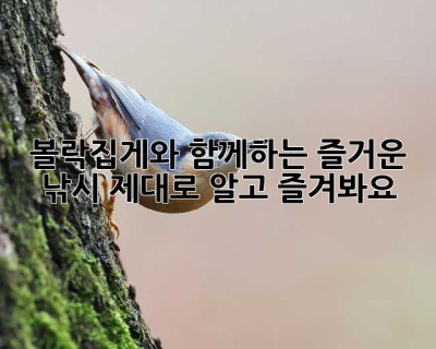 볼락집게와 함께하는 즐거운 낚시, 제대로 알고 즐겨봐요!