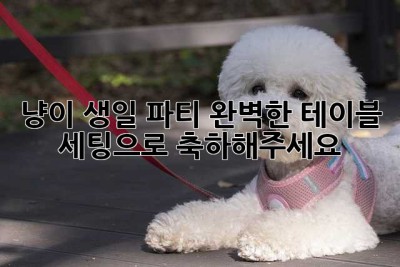 냥이 생일 파티, 완벽한 테이블 세팅으로 축하해주세요! 🎉