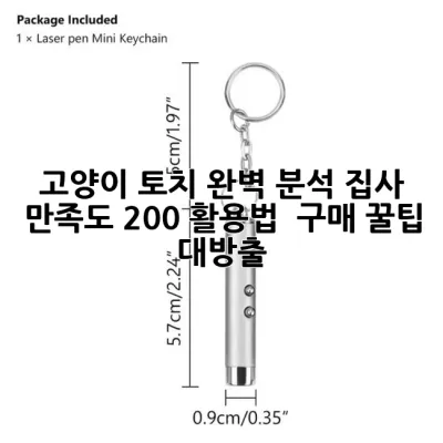 고양이 토치 완벽 분석: 집사 만족도 200% 활용법 & 구매 꿀팁 대방출!