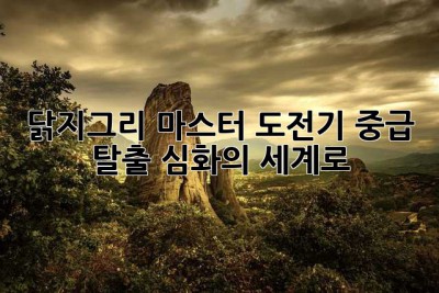 닭지그리 마스터 도전기: 중급 탈출, 심화의 세계로!