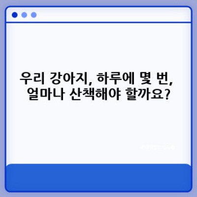 강아지 산책 완벽 가이드: 행복한 산책, 건강한 반려견 만들기