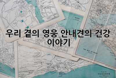우리 곁의 영웅, 안내견의 건강 이야기🐶