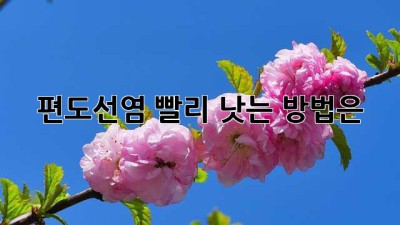 편도선염, 빨리 낫는 방법은?