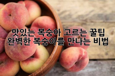 맛있는 복숭아 고르는 꿀팁!🍑 완벽한 복숭아를 만나는 비법