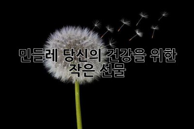 민들레, 당신의 건강을 위한 작은 선물🎁