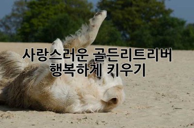 사랑스러운 골든리트리버, 행복하게 키우기