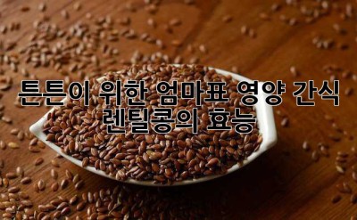 튼튼이 위한 엄마표 영양 간식, 렌틸콩의 효능!