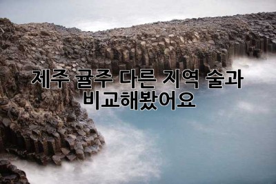 제주 귤주, 다른 지역 술과 비교해봤어요!🍊