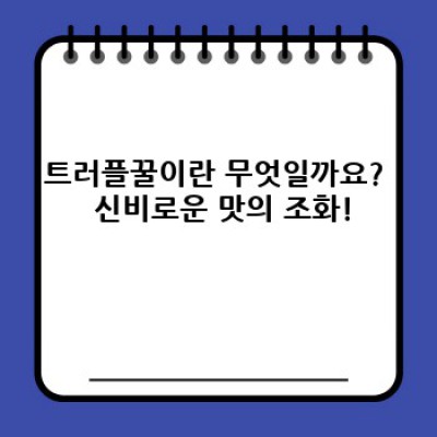 트러플꿀 완벽 가이드: 맛, 효능, 구매 가이드까지!