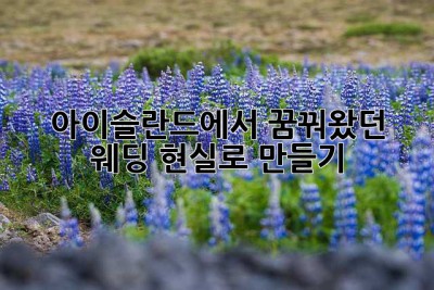 아이슬란드에서 꿈꿔왔던 웨딩, 현실로 만들기 ✨