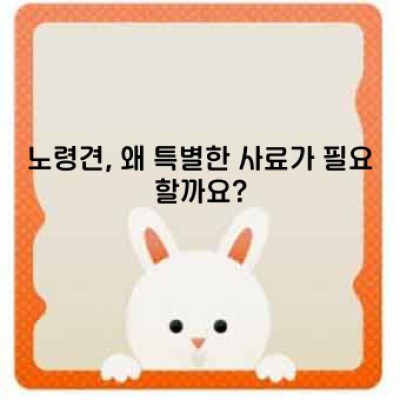 노령견을 위한 최고의 사료 선택 가이드: 건강하게 10년 더!