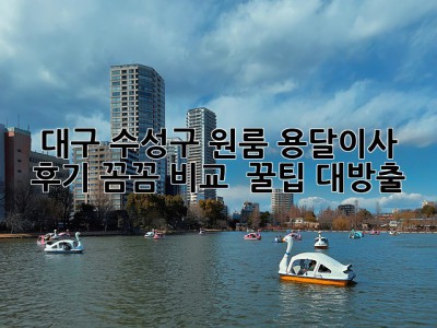 대구 수성구 원룸 용달이사 후기🏠✨ 꼼꼼 비교 & 꿀팁 대방출!