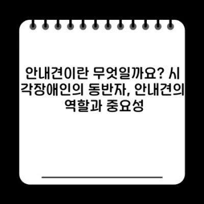 안내견의 모든 것: 장단점 비교, 훈련 과정, 그리고 실제 사례까지!