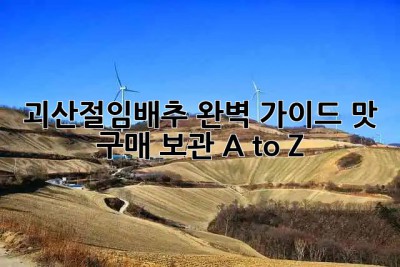 괴산절임배추 완벽 가이드🥬 맛, 구매, 보관 A to Z!
