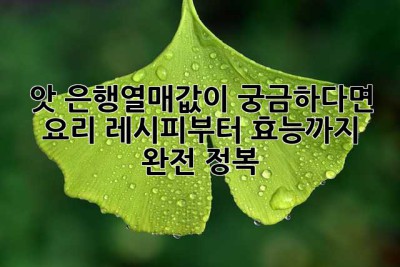 앗, 은행열매값이 궁금하다면? 🌰 요리 레시피부터 효능까지 완전 정복!