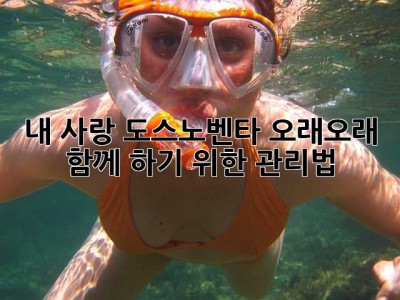 내 사랑 도스노벤타, 오래오래 함께 하기 위한 관리법✨