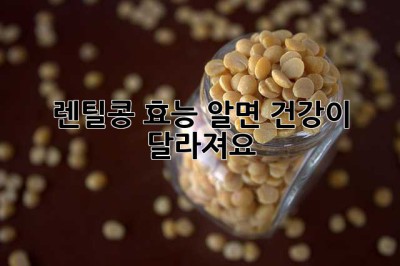 렌틸콩 효능, 알면 건강이 달라져요!
