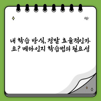 메타인지 학습법 요약정보 우선 확인: 학습 효율 극대화 전략