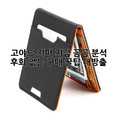 고야드 지퍼 지갑: 꼼꼼 분석 & 후회 없는 구매 꿀팁 대방출!