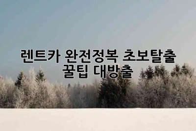 🚗 렌트카 완전정복: 초보탈출 꿀팁 대방출! 🍯