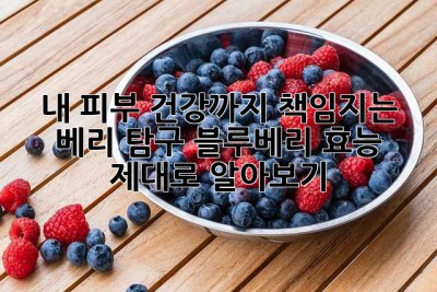 내 피부, 건강까지 책임지는 베리 탐구! 블루베리 효능 제대로 알아보기 ✨