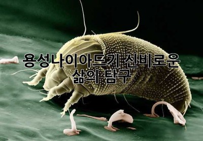 용성나이아드기, 신비로운 삶의 탐구