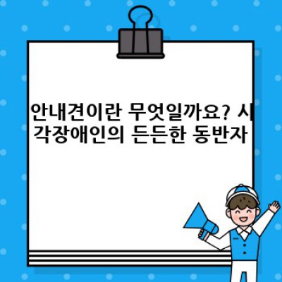 안내견과 함께하는 세상: 훈련부터 사회적 인식까지 완벽 가이드