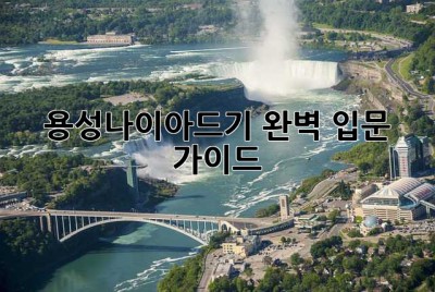 용성나이아드기 완벽 입문 가이드