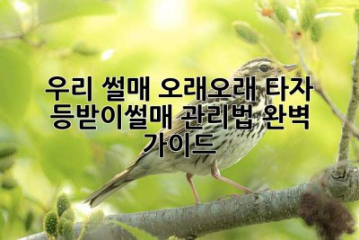 우리 썰매, 오래오래 타자! 등받이썰매 관리법 완벽 가이드 ✨