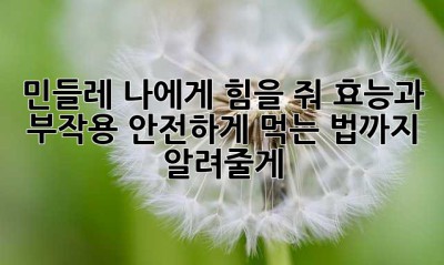민들레, 나에게 힘을 줘! 효능과 부작용, 안전하게 먹는 법까지 알려줄게