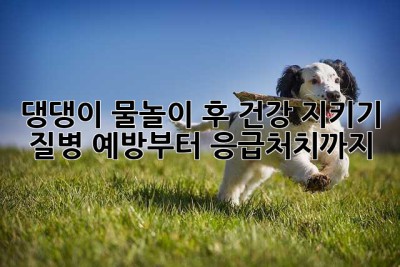 댕댕이 물놀이 후 건강 지키기: 질병 예방부터 응급처치까지!
