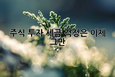 주식 투자? 세금 걱정은 이제 그만!
