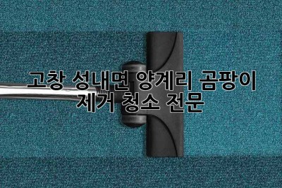고창 성내면 양계리 곰팡이 제거 청소 전문