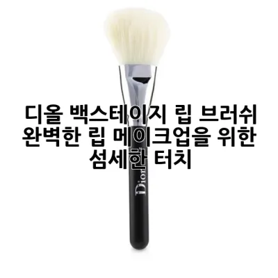디올 백스테이지 립 브러쉬: 완벽한 립 메이크업을 위한 섬세한 터치 ✨