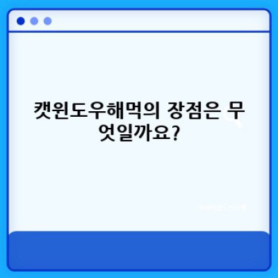 캣윈도우해먹: 고양이를 위한 창가의 낙원, 완벽 가이드