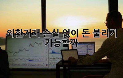 외환거래, 손실 없이 돈 불리기 가능할까? 🤔