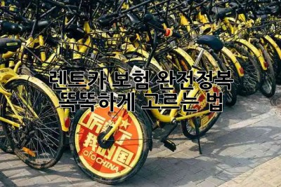 🚗 렌트카 보험 완전정복! 똑똑하게 고르는 법 💯