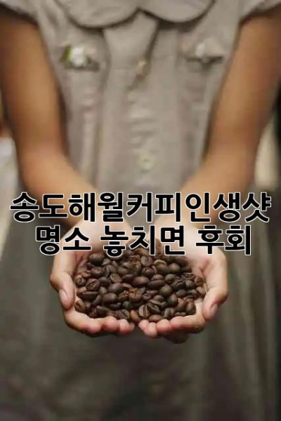 송도해월커피☕인생샷 명소🌅 놓치면 후회!