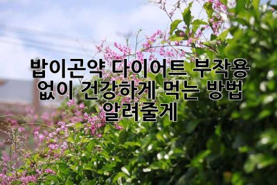 밥이곤약 다이어트? 부작용 없이 건강하게 먹는 방법 알려줄게!